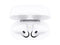 Apple AirPods 2 with Wireless Charging Case (Latest Model)